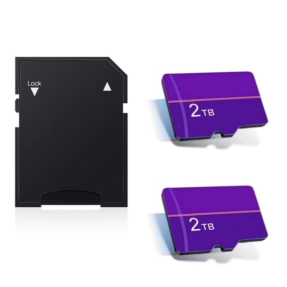 Flash Memory Card with Adapter, 2 Total Count