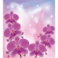thumbnail image 3 of Ambesonne Floral Duvet Cover Set, Exotic Orchid Flowers, Twin, Purple Pale Pink Blue, 3 of 3