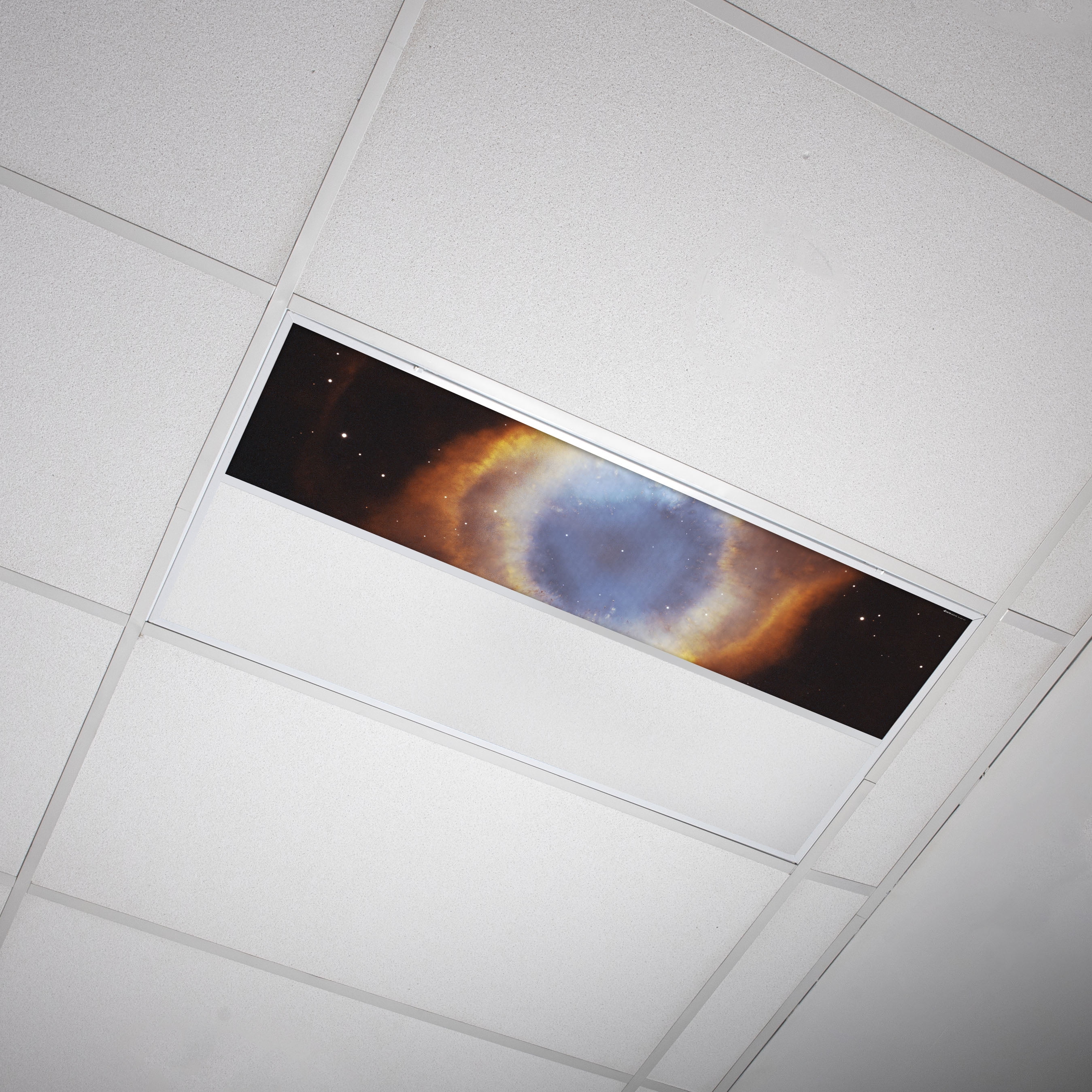 Octo Lights Fluorescent Light Covers 1x4 Flexible Decorative Light