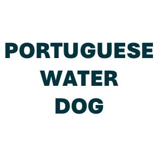 Portuguese Water Dog Pill Butter