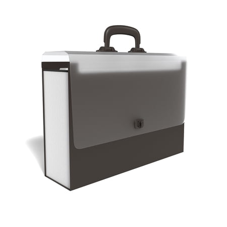 Staples TRU RED Plastic Accordion File 26-Pocket Legal Size Black 2/Pack ST45531/TR455VS