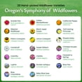 thumbnail image 3 of Created By Nature Oregon Wildflower Seed Mix, 20 Flower Varieties, 60,000 Seeds, 3 of 6