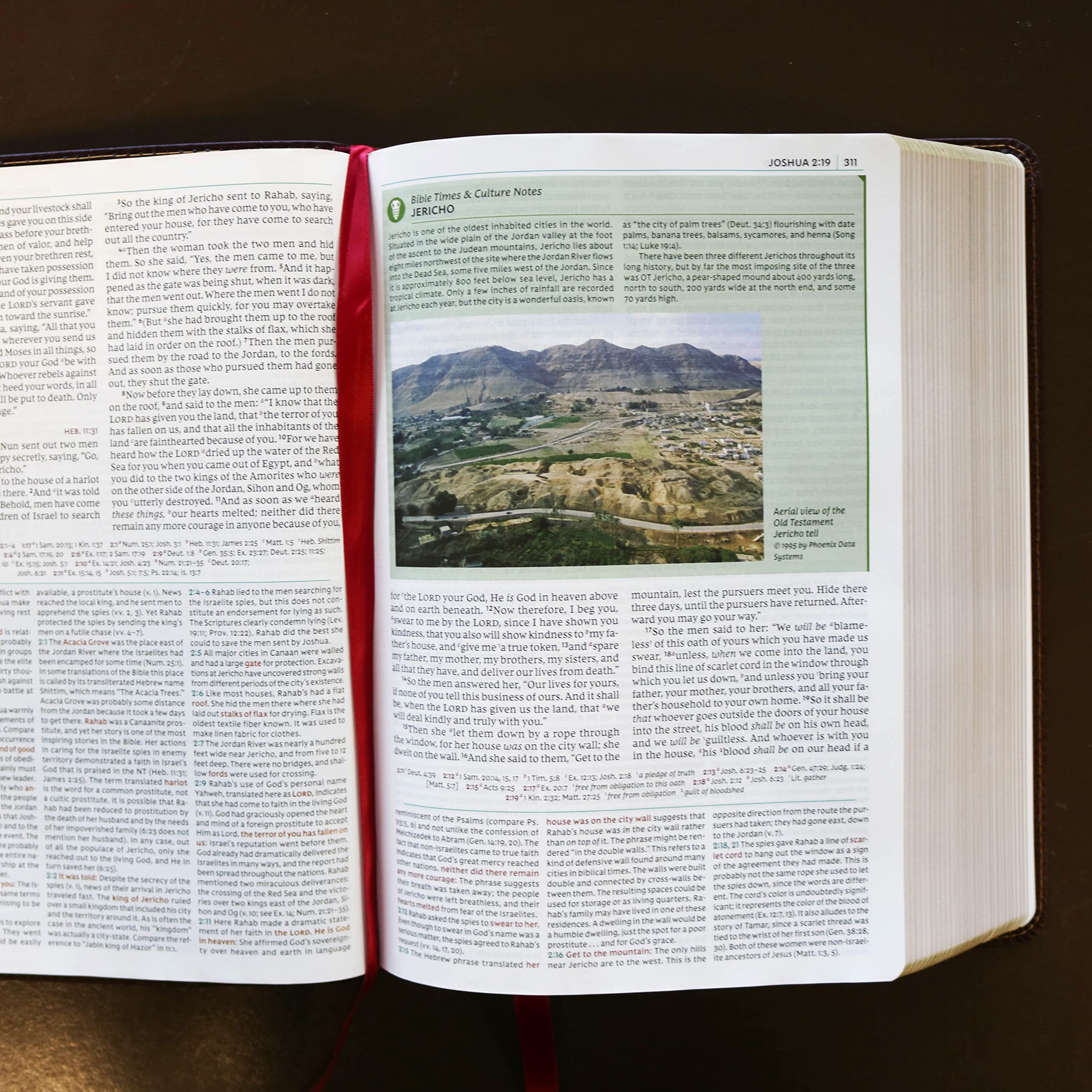 NKJV Study Bible, Leathersoft, Brown, Full-Color, Comfort Print: The Complete Resource for Studying God's Word, (Hardcover)