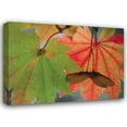 thumbnail image 1 of Vitaly Geyman 37x28 Gallery Wrapped Canvas Wall Art Titled - Maple Leaves Perfection I, 1 of 4