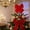 A, variant on Taylonsss Christmas Bow Tree Topper Decoration, Elegant Ribbon Star Crown Holiday Tree, Festive Centerpiece Ornament Party Display, Xmas Home Decor Indoor Tabletop Accent
