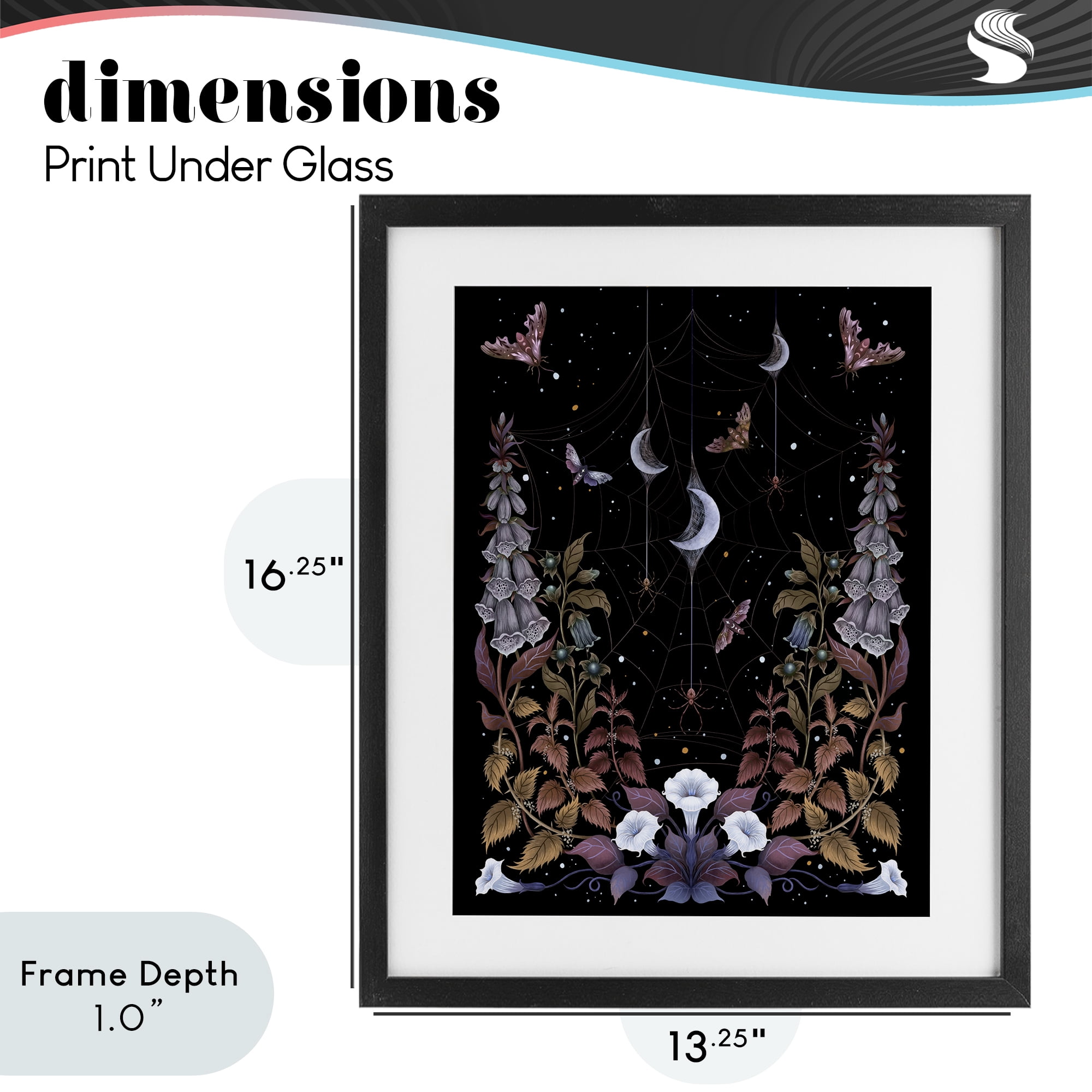 Stupell Industries Witch Garden with Spider Webs Black Framed Print Under Glass, design by Episodic Drawings