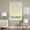 Alabaster, variant on Chicology Honeycomb Cellular White Pleated Cordless Shade - White - 23x64