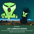 thumbnail image 3 of EeaseMX 1 juego de chaleco luminoso LED para perros, transpirable, con carga USB, para mascotas., 3 of 8