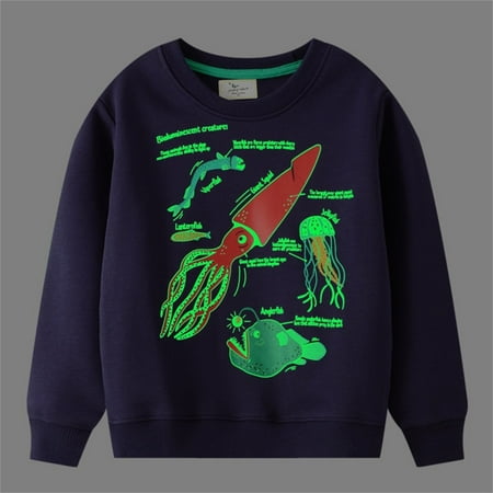 

CHAOLEI Toddler Boys Sweatshirts Print Patterned Long Sleeve Pullover Crewneck Tops Shirts -Blue 1-2 Years