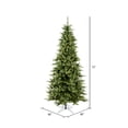 thumbnail image 4 of Vickerman 12' Camdon Fir Slim Artificial Christmas Tree, Warm White Dura-lit LED Lights, 4 of 7
