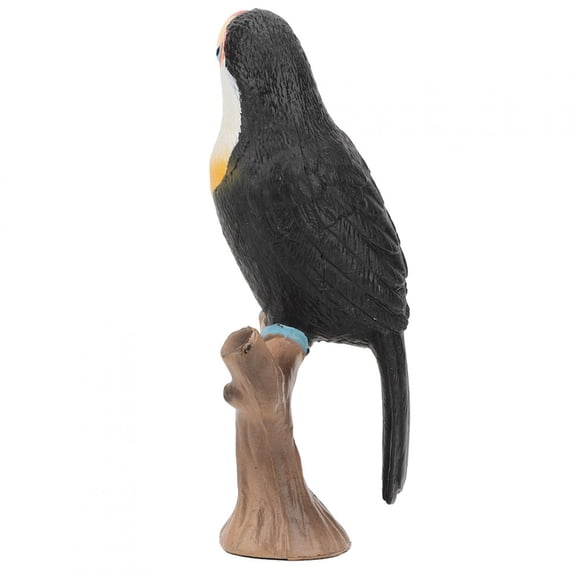Vivid Realista para Ni?os, Animales Salvajes, Modelo de Tucán, Juguete de Plástico Simulado, Modelo de Figurita de Juguete Pintado a Mano Ecomeon no