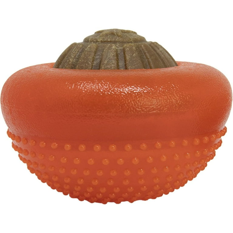 Bento hotsell dog toy