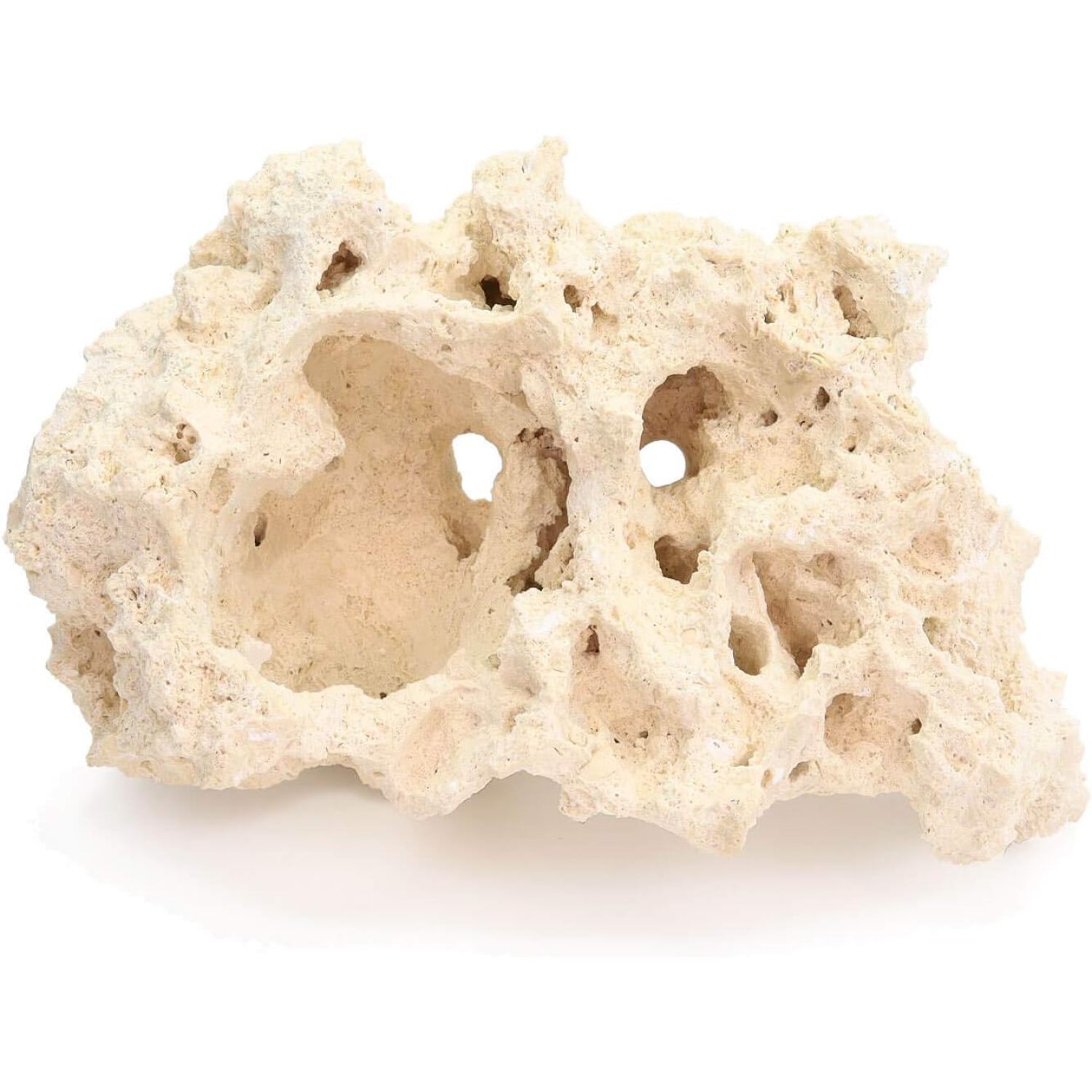 Dry Base Rock with Coralline Algae Spores for Seeding Saltwater