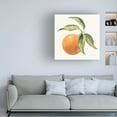 thumbnail image 3 of Silvia Vassileva 'Le Orange on Cream' Canvas Art, 3 of 3