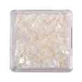thumbnail image 3 of dianhelloya 1 Box Nail Art Decoration Irregular Shape Ultra-thin Mix Size Shiny Effect Decorative Natural Manicure Shell Fragments E, 3 of 8