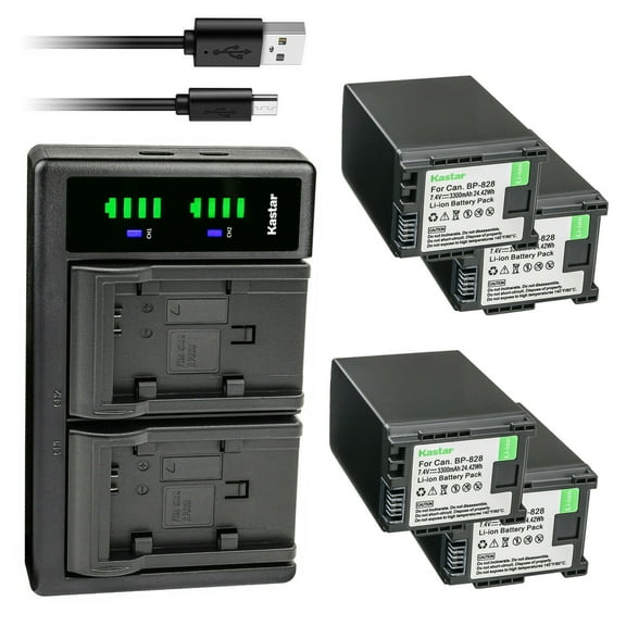Kastar 4-Pack Battery and LTD2 USB Charger Replacement for Canon BP-820, BP-828 XF400, XF405, XA10, XA11, XA15, XA20, XA25, XA30, XA35, XA40, XA45, XA50, XA55, VIXIA HF G21, VIXIA HF G30, VIXIA HF G40