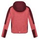 thumbnail image 2 of Regatta - Forro Polar Dissolver VII para Niños/Niñas (Rojo Mineral, Burdeos), 2 of 4