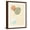 Brown Frame, variant on Art.com Sun Palm I Mint Art Print by Moira Hershey, Brown Frame Wall Art, 17" x 21"