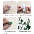thumbnail image 5 of Pack of 50 Self Adhesive Plant Holders Plant Connector Clip Climbing Plants Fixing Wall Plant Clips compatible Supports Planting, 5 of 5