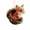 I - Orange, variant on Aximioll Christmas Smiling Fox Ornament 3.2 x 3.9 in, Orange Fox Perched On Rustic Nut Shell Rim Shatterproof Acrylic, Tree Pendant for Holiday Evergreen and Door Wreath