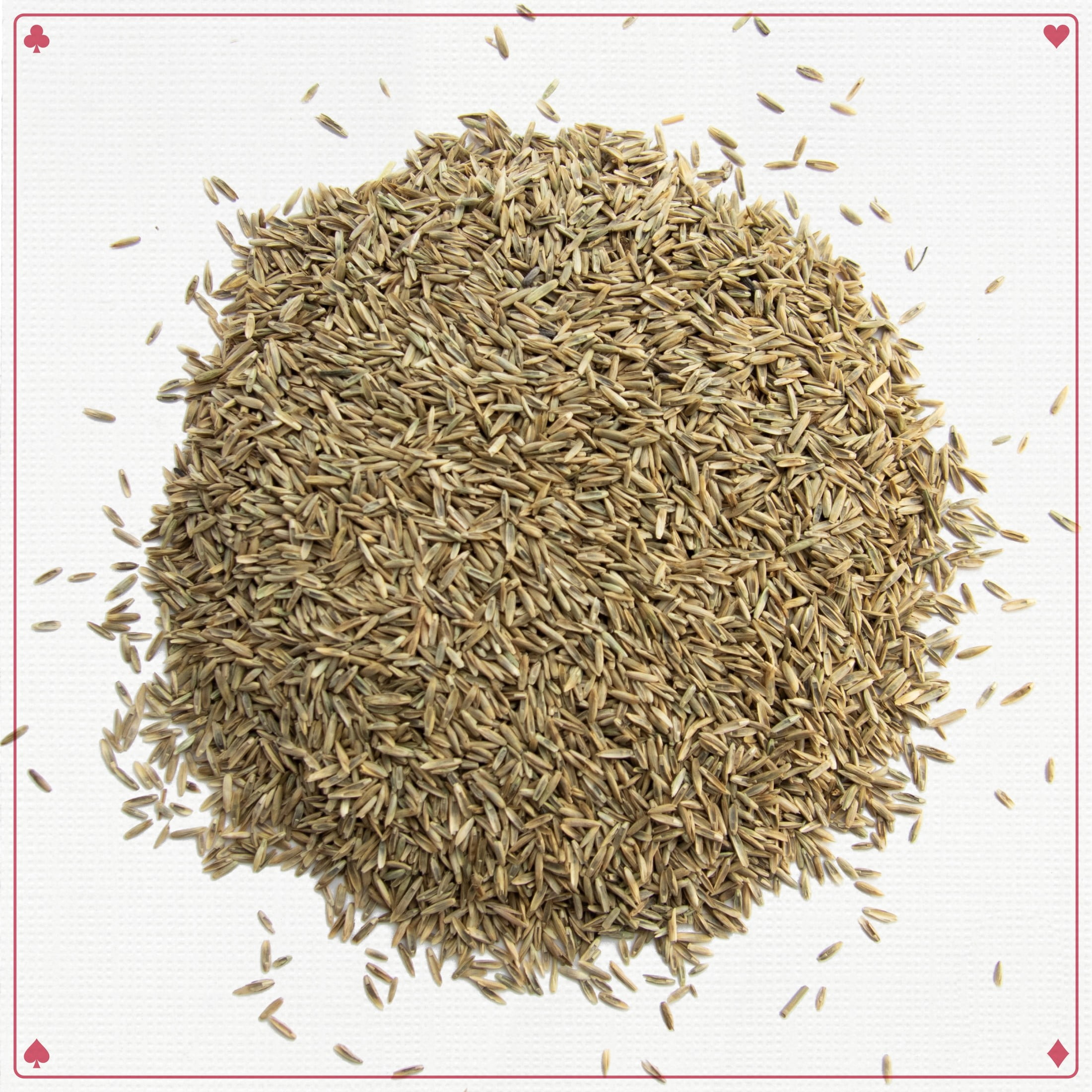 Pennington Royal Flush Overseeding Blend 50 lb