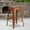 Copper, variant on Emma + Oliver 24"H Backless Purple Counter Height Stool with Wood Seat