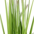 thumbnail image 3 of Northlight 24" Artificial Green Onion Grass Plant in Tin Pot, 3 of 5
