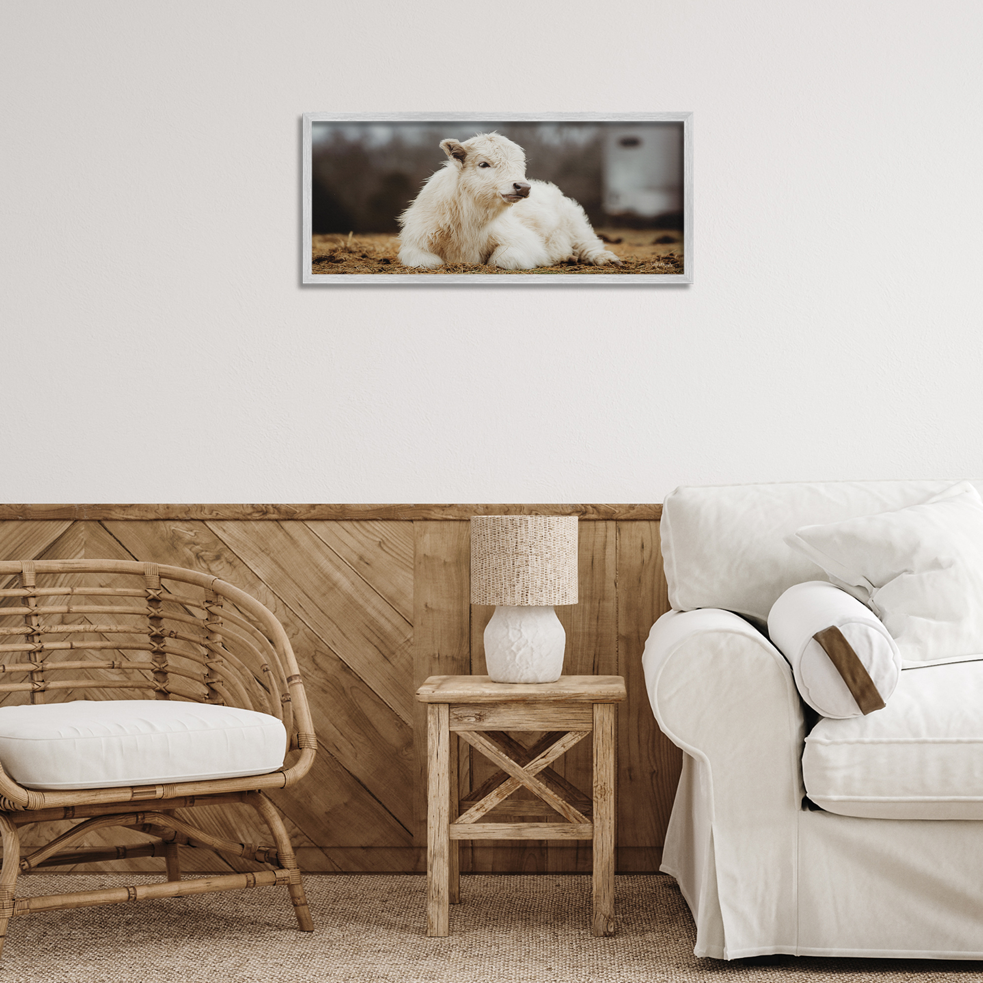 Stupell Industries Baby White Cattle Animals & Insects Photography Gray Framed Art Print Wall Art, 24 x 10