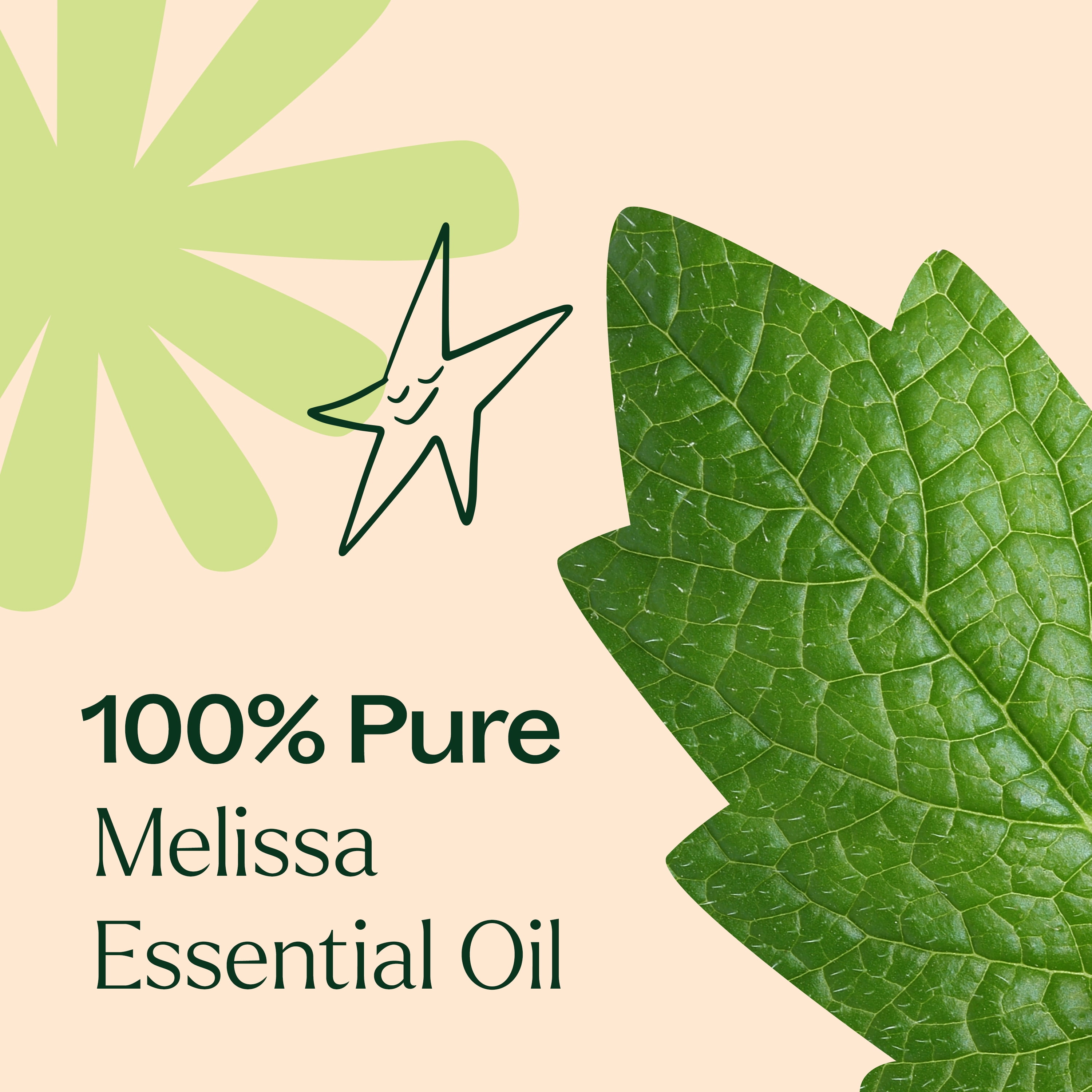 Plant Therapy Melissa Essential Oil 2.5 mL (1/12 oz) 100% Pure, Undiluted, Natural Aromatherapy