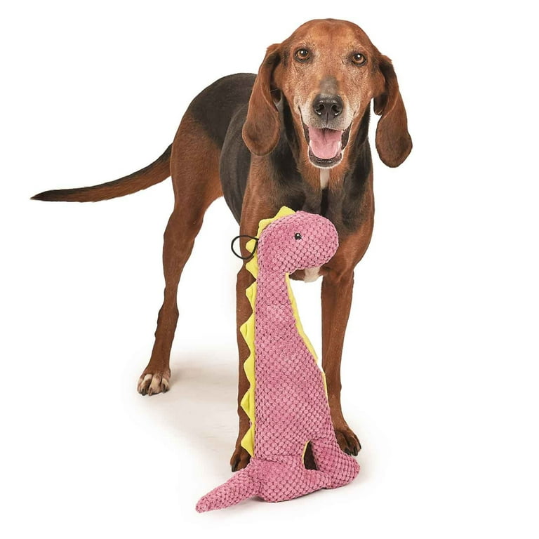 Play365 Dog Toys, Plush & Squeaky Jurassic Cord Crew