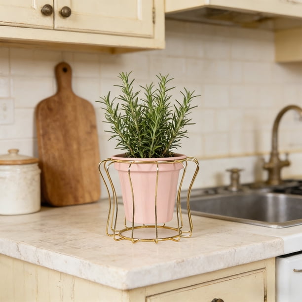 Jarrón Ornamental Hidropónico de Hierro con Tubo de Ensayo para Decoración Del Hogar, Escritorio o Sala de Estar – Jarrón de Hierro Resistente para Plantas de Interior y Elementos Decorativos.