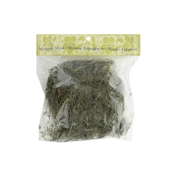 Basil Green Spanish Moss by Ashland