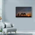 thumbnail image 3 of Trademark Fine Art 'Camargue Sunrise' Canvas Art by PHBurchett, 3 of 4