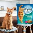 9 Lives Plus Care with Tuna & Egg Flavor Dry Cat Food with Vitamin E