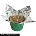 thumbnail image 3 of Marily Double White Flowering Amaryllis (Hippaestrum) 3 Bulb Gift Kit, Planted in a Foil Wrapped 9 inch Pot, 3 of 3
