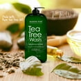 thumbnail image 6 of Majestic Pure Tea Tree Body Wash - Formulated to Combat Dry, Flaky Skin - Soothes, Nourishes and Moisturizes Irritated, Chapped, Problem Skin Areas - (Packaging may Vary) -16 fl. oz, 6 of 8