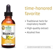Botanic Choice Mullein Leaf Extract Liquid, Traditional Respiratory & Lung Support Supplements, 1 Fl Oz