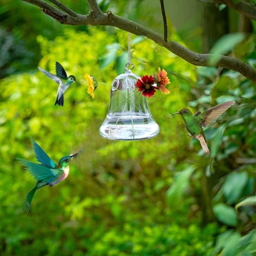 Hummingbird Feeder | Hummingbird Feeder Tube - Leak-Proof