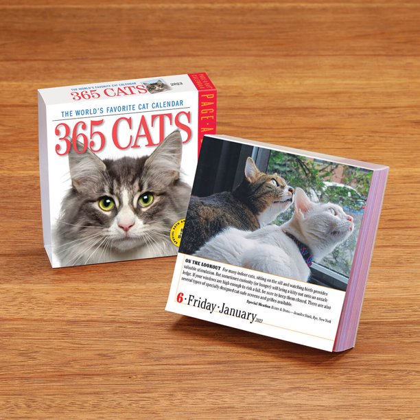 365 Cats Page-A-Day Calendar 2023 (Calendar) - Walmart.com