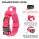 thumbnail image 5 of Collar para Perros Grandes Ajustable de Alta Resistencia con Asa Collar Táctico Collar para Perros de Alta Resistencia Rosa M, 5 of 7