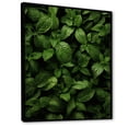 thumbnail image 2 of Designart "Peppermint Breeze of Herbs II" Floral Framed Wall Art - Traditional Green Herbs Hallway Framed Wall Art Decor, 2 of 6
