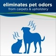 thumbnail image 3 of BISSELL Advanced Pet Spot & Stain 32 fl oz. Formula for Portable Carpet Cleaners 74R7V, 3 of 8