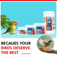 thumbnail image 5 of Morning Bird Immune System Booster 1 Oz - Energy Supplement for Birds – Natural Amino Acid Powder – Boosts Stamina, Cellular Health & Oxygen Use – Vitamin Powder for All Bird Species, 5 of 8