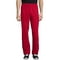 hanes men's and big men's ecosmart fleece sweatpants