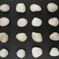 20lbs River Rocks - 1-2Inch Decorative Rocks for Potted Plants, River ...