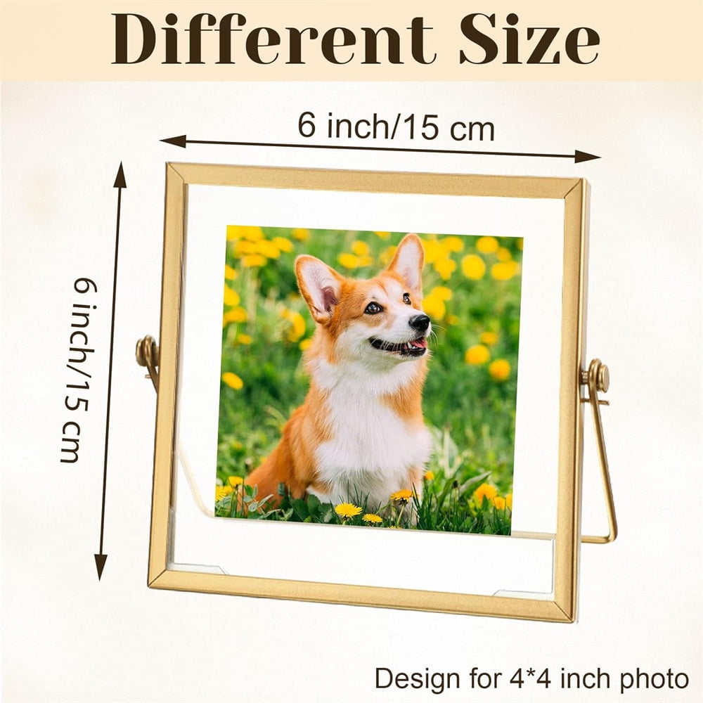 NOGIS Metal Picture Frames, Ornate Minimal Floating Edge Clear Glass Table Top Easel Stand Photo Frames in Gold, 4 x 4, Assortment Variety