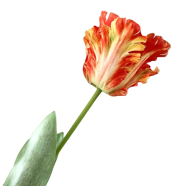 1 pieza de flor artificial vívida decorativa de 68 cm, tulipán loro 3D de tacto real, decoración de flores falsas para el hogar