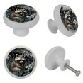 thumbnail image 7 of Cute Raccoon Glow in The Dark Crystal Glass Cabinet Knobs 4 Pcs Drawer Handles for Kitchen Cabinets Dresser Cupboard Wardrobe, 7 of 7