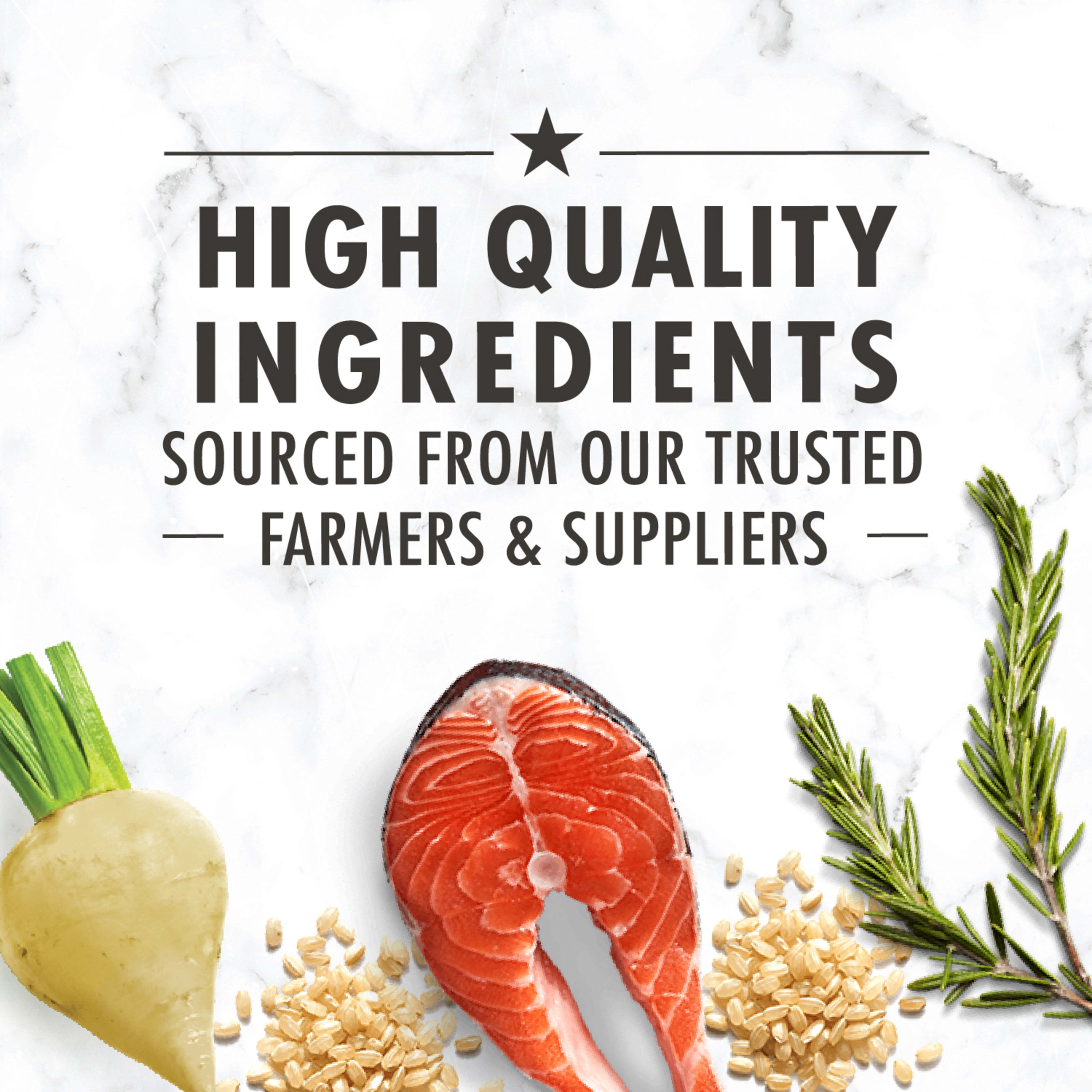 Nutro wholesome essentials salmon sale