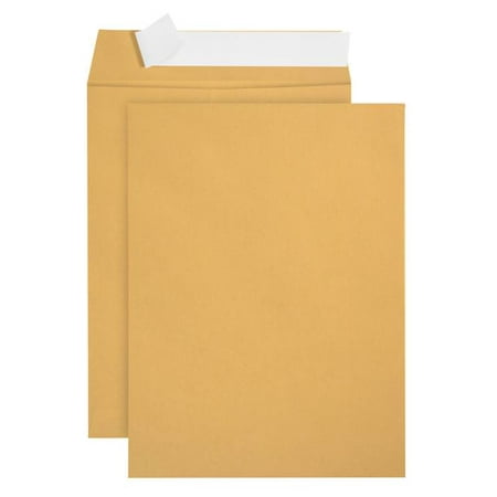 Gold Lined Ecru Envelope - Blue Summit Supplies 6x9 Self Seal Envelopes, Golden Brown, 100/box